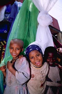 NetMark public-private partnerships insecticide-treated nets itns bednets Ethiopia 
